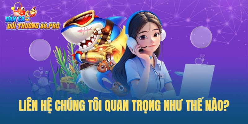 Liên hệ chúng tôi quan trọng như thế nào? Liên hệ chúng tôi quan trọng như thế nào?